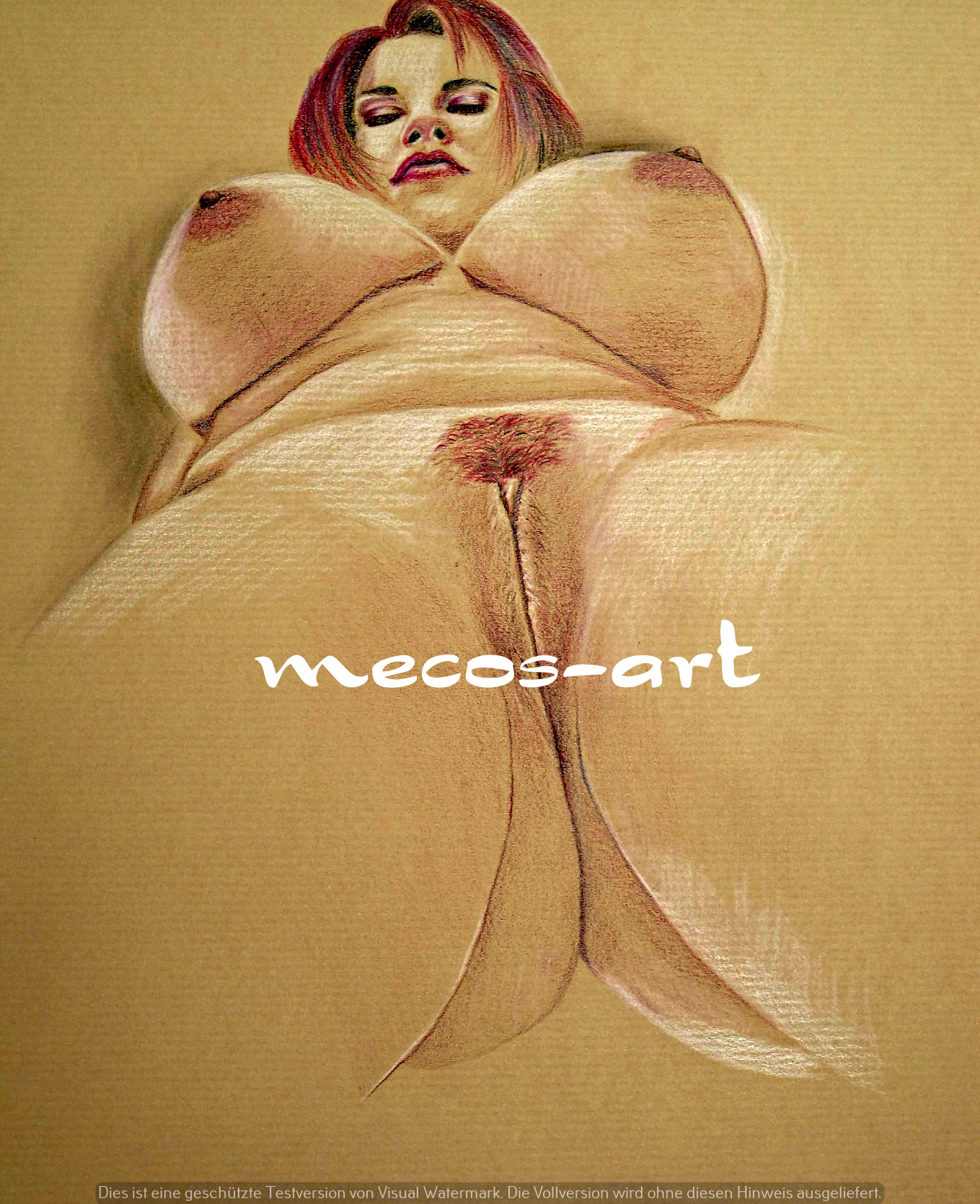 Fine Akt Druck von Original Hot Erotik Zeichnung | No.188